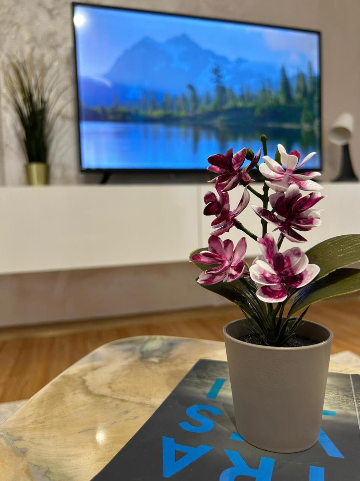 Luxury Studio Ploiesti Luaran gambar