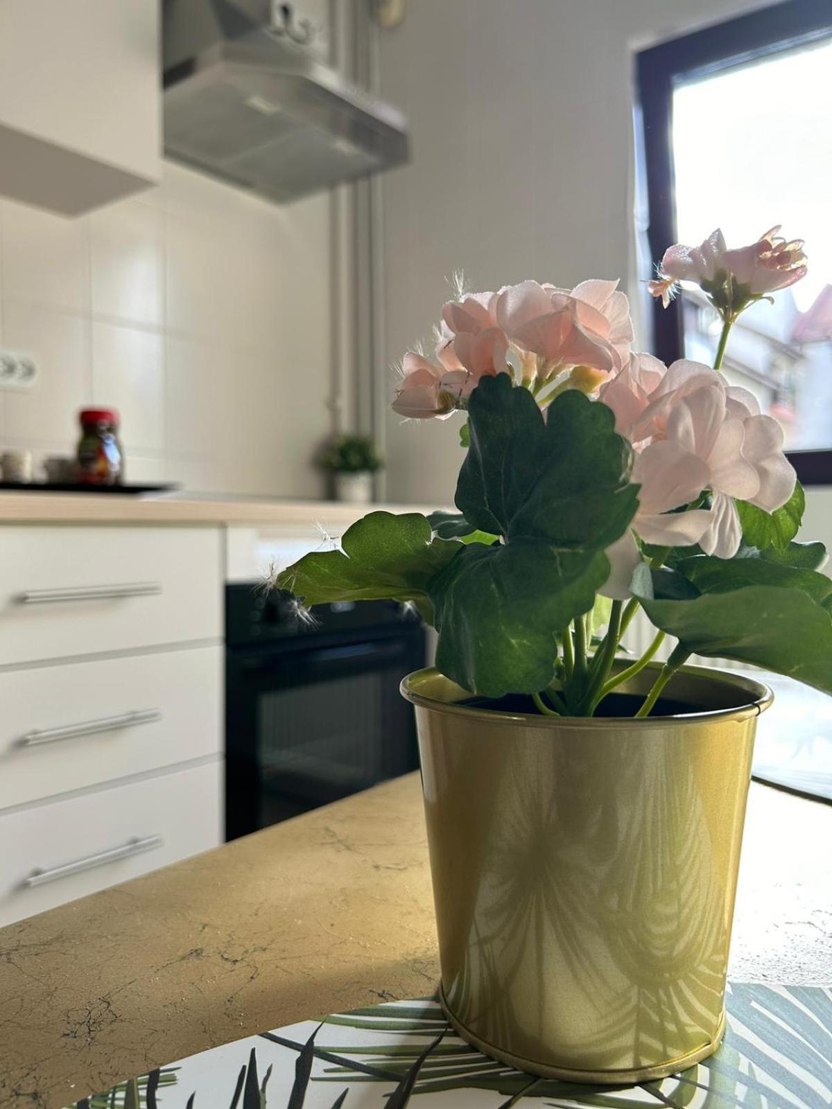 Luxury Studio Ploiesti Luaran gambar